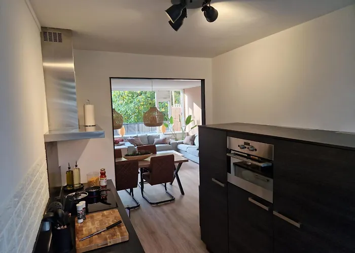 شقة Kintsugi ألفن آن دن راين